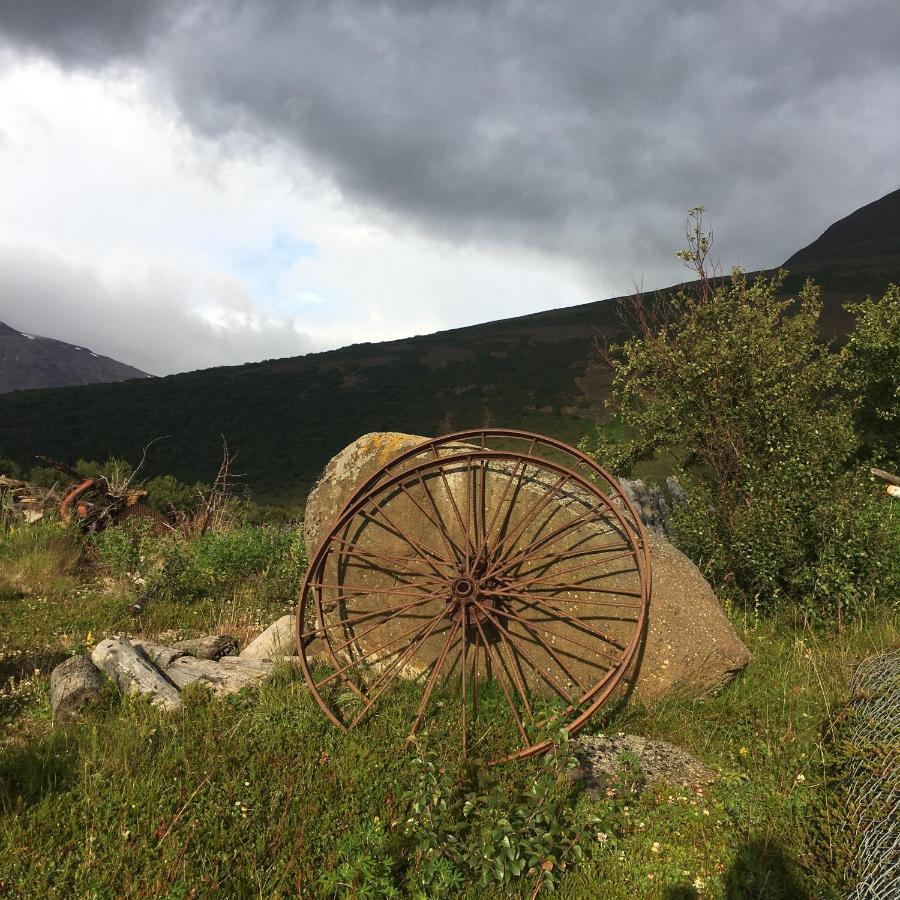Asholl Guesthouse - Farmstay Akureyri Ngoại thất bức ảnh