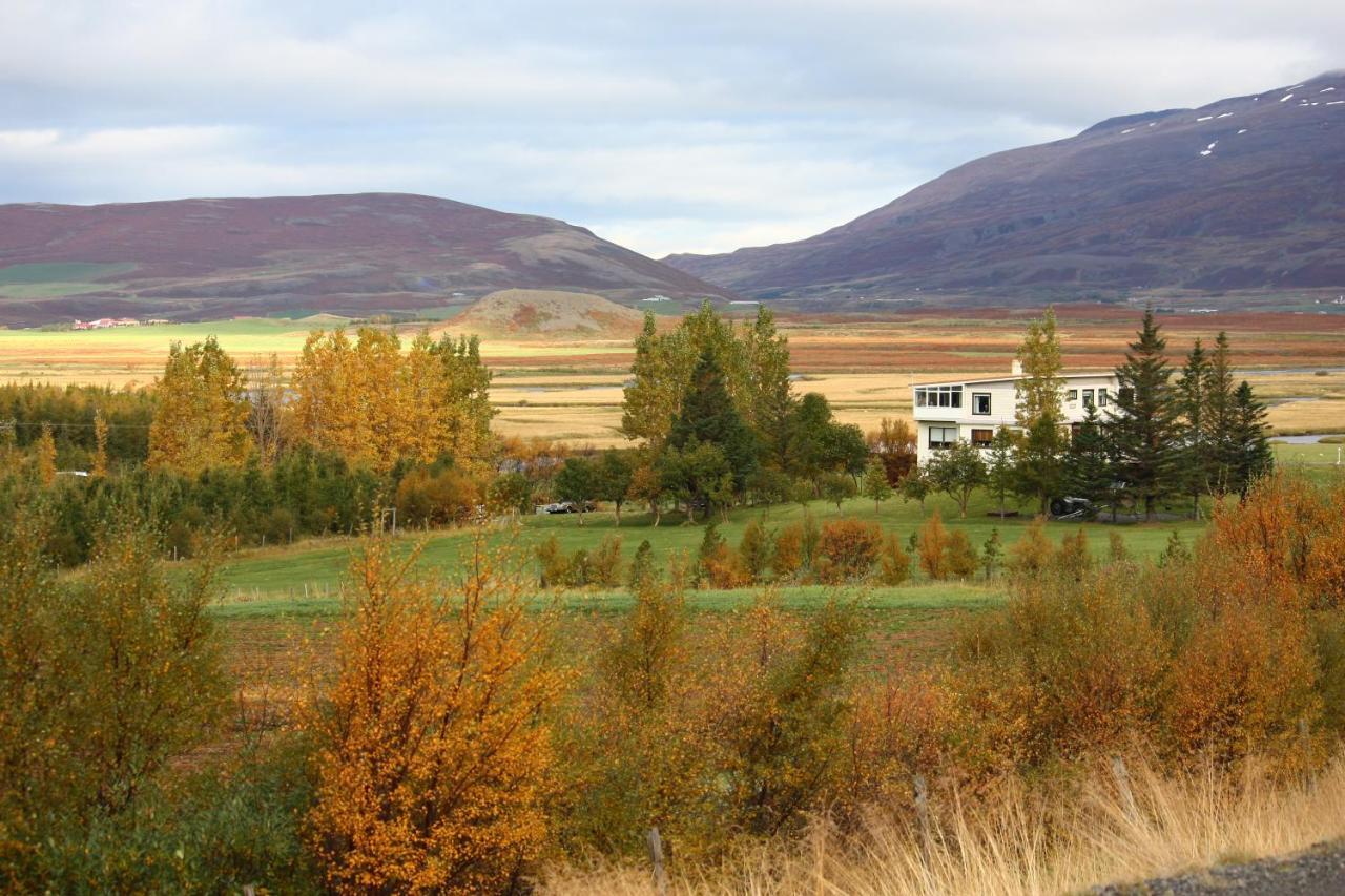 Asholl Guesthouse - Farmstay Akureyri Ngoại thất bức ảnh